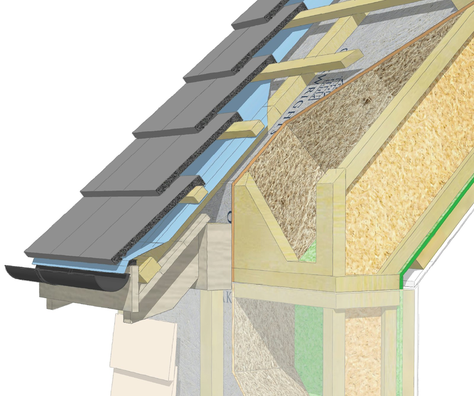 WRN2 Panel c Crop Content Block