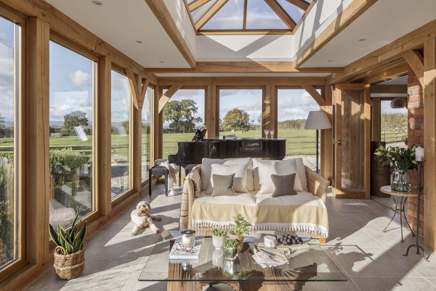 Dog inside an orangery extension